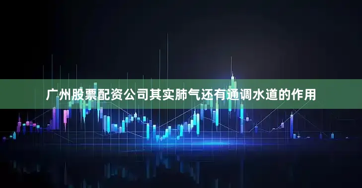 广州股票配资公司其实肺气还有通调水道的作用