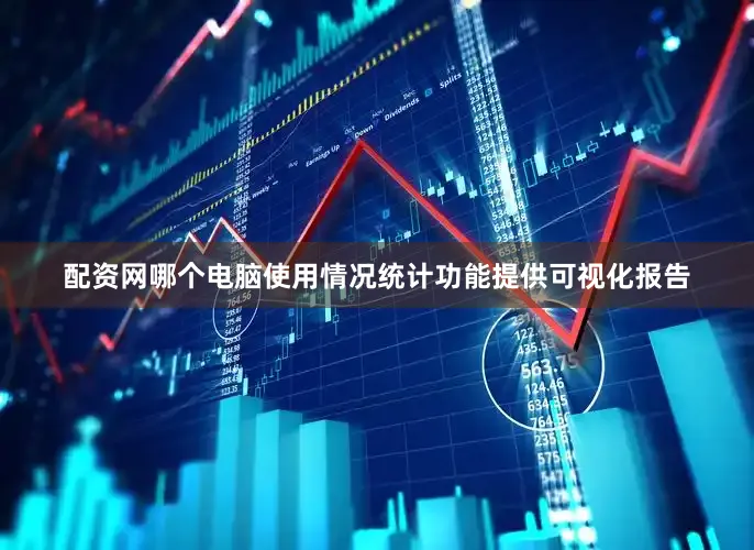 配资网哪个电脑使用情况统计功能提供可视化报告